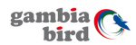 Gambia Bird